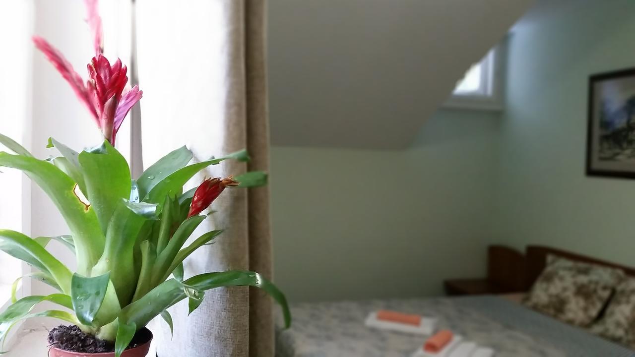 Boeritza Hotel Complex Vladaya エクステリア 写真